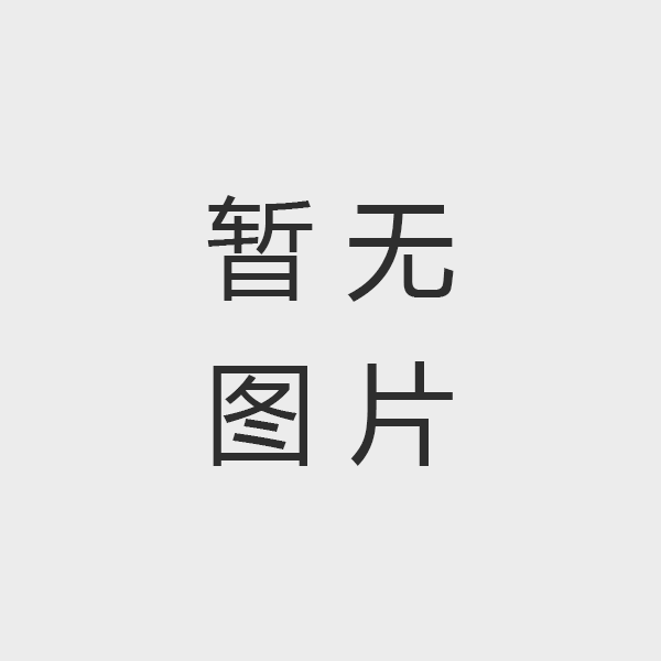 主題宣傳閃字電風(fēng)扇